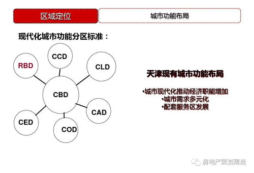 策劃 天津東疆港住宅項目前期策劃定位148p